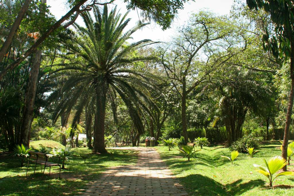 Jardín Botánico: A Beautiful Biodiversity Park!