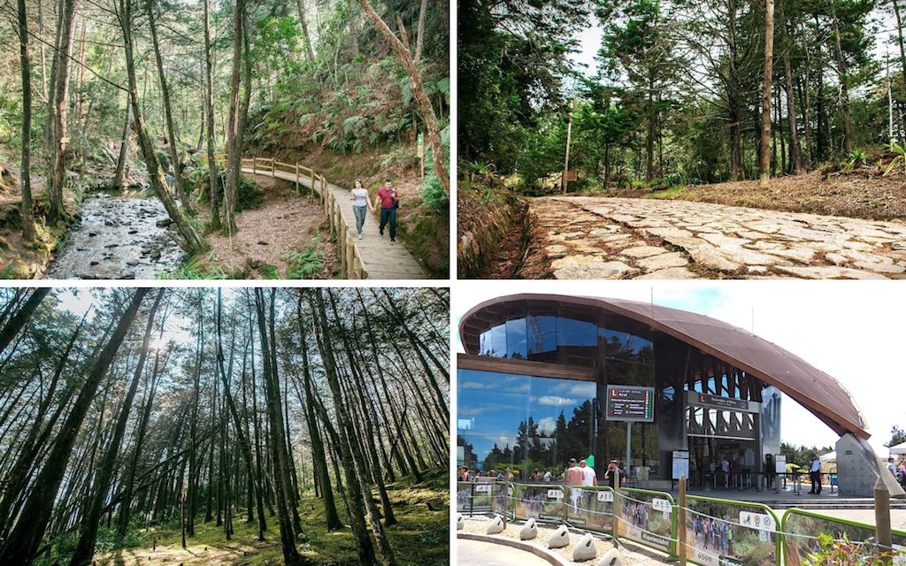 Parque Arví: A Nature Park At The Top Of The Mountain!